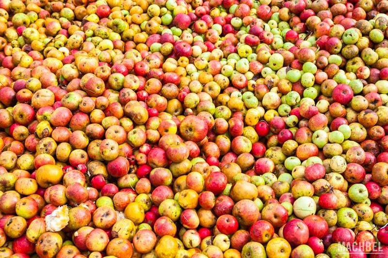Manzanas de Sidra 