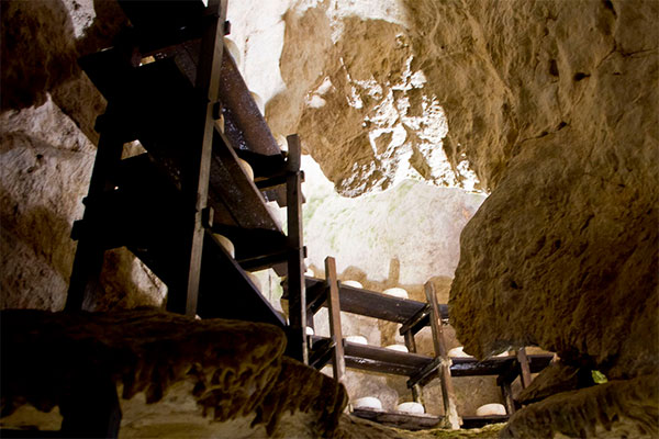 Cueva Queso Cabrales