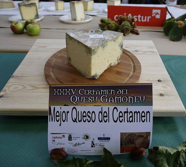 El seleccionado al mejor queso Gamoneu del Mundo